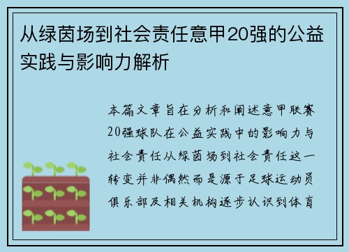 从绿茵场到社会责任意甲20强的公益实践与影响力解析
