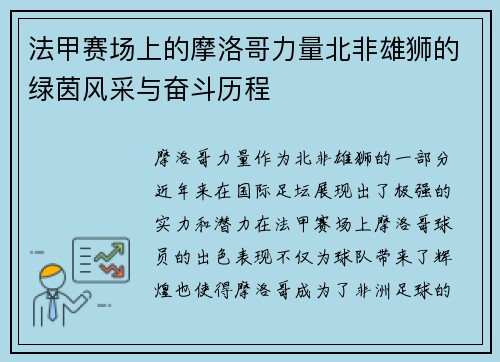 法甲赛场上的摩洛哥力量北非雄狮的绿茵风采与奋斗历程