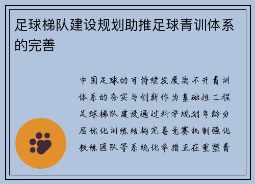 足球梯队建设规划助推足球青训体系的完善